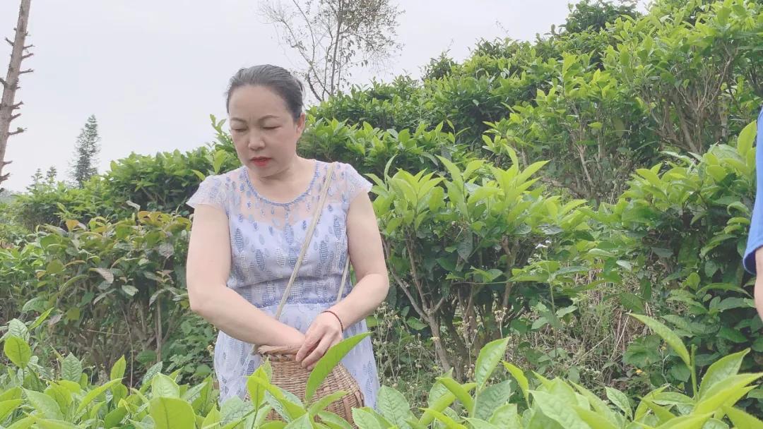 这帮人五一用爱心启航，一起为广西凌云大山的孩子点燃艺术之梦！