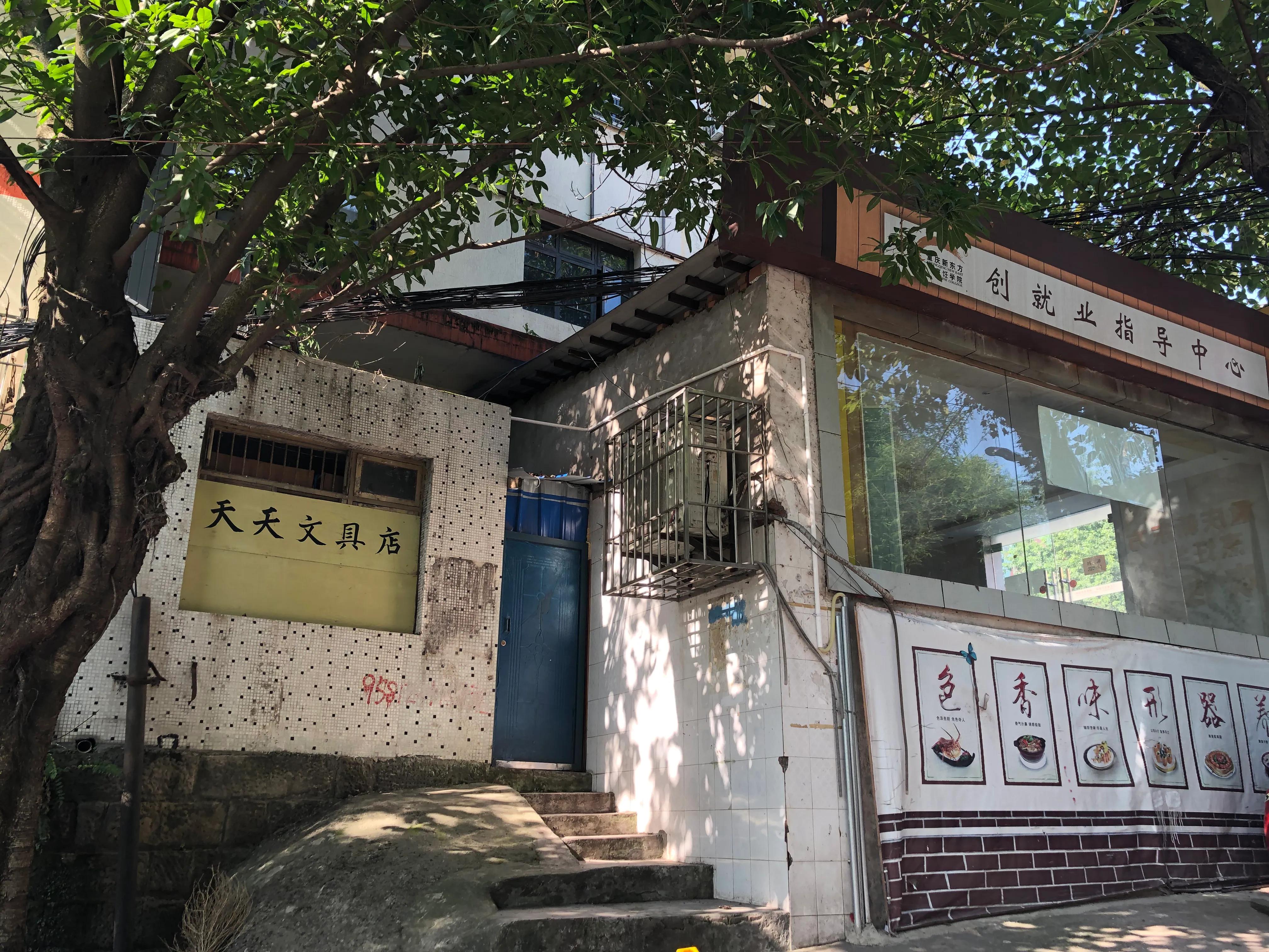 婕閲嶅簡瑙嗛,婕閲嶅簡