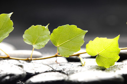 网友：“我经历了一出现实版的人在囧途”丨时疫下的普通人侧记