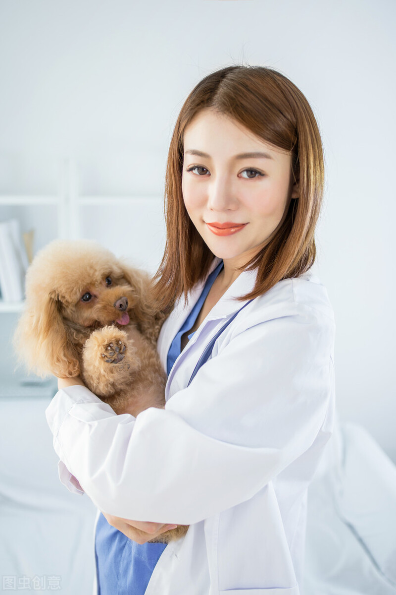 蜱虫有什么存在的意义,犬蜱虫病症状及治疗方法