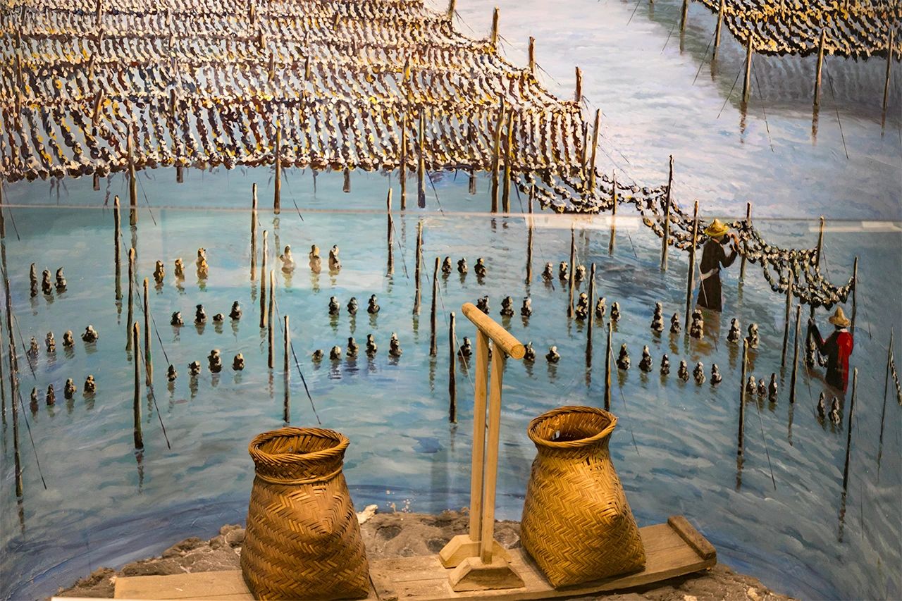 2021深圳免费适合遛娃玩地方排名,深圳免费游玩景点推荐