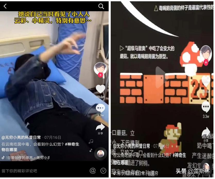 水猴子警告,小亮日常科普水猴子