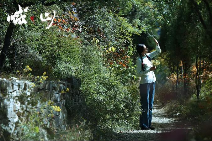 喊山故事全集,喊山讲了一个什么故事