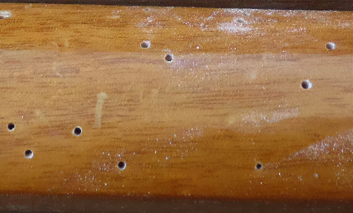 藏在木质家具里的虫子是什么,吃家具的虫子怎么消灭