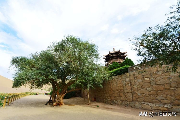 有了这攻略,自驾*藏西**游省心很多