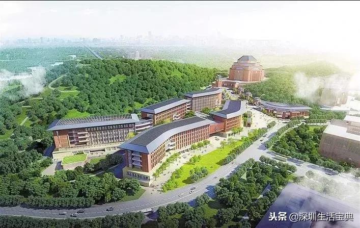 深圳还属于世界一线弱城市吗,深圳一线城市