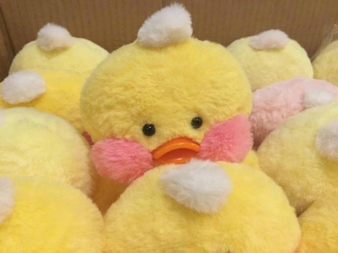 「玻尿酸鸭头像」敲可爱的玻尿酸小黄鸭来啦