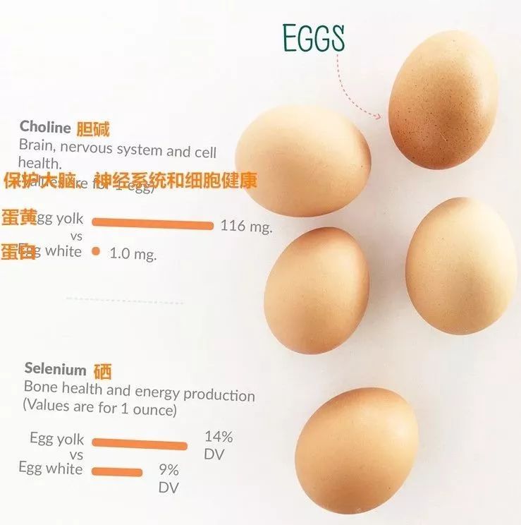 一个月只吃鸡蛋减肥法,只吃鸡蛋减肥法一星期瘦30斤
