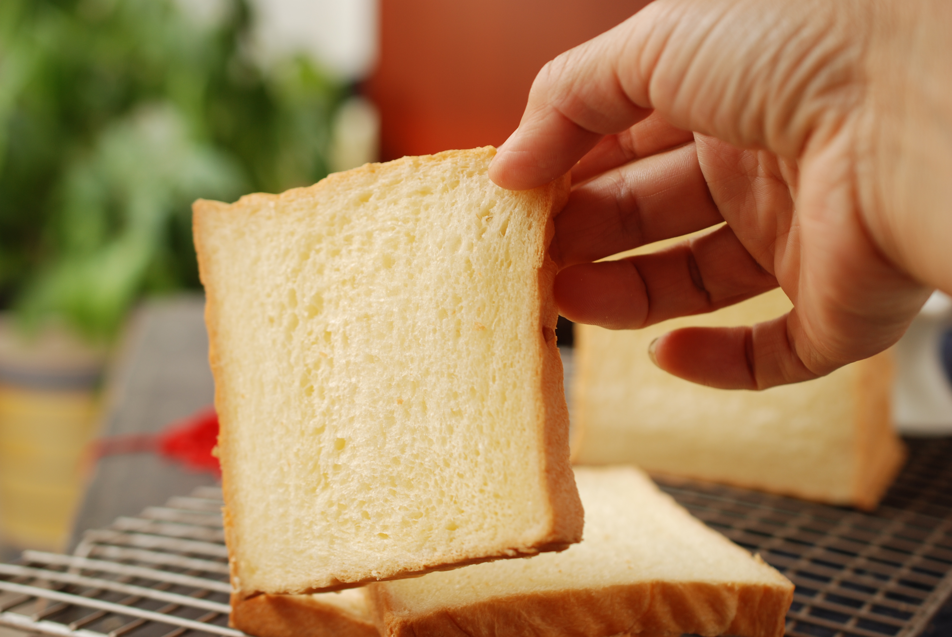 一次发酵的椰蓉吐司,一次发酵葡萄干吐司
