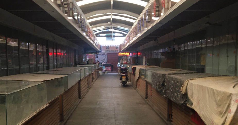 洋货市场状况,塘沽洋货市场