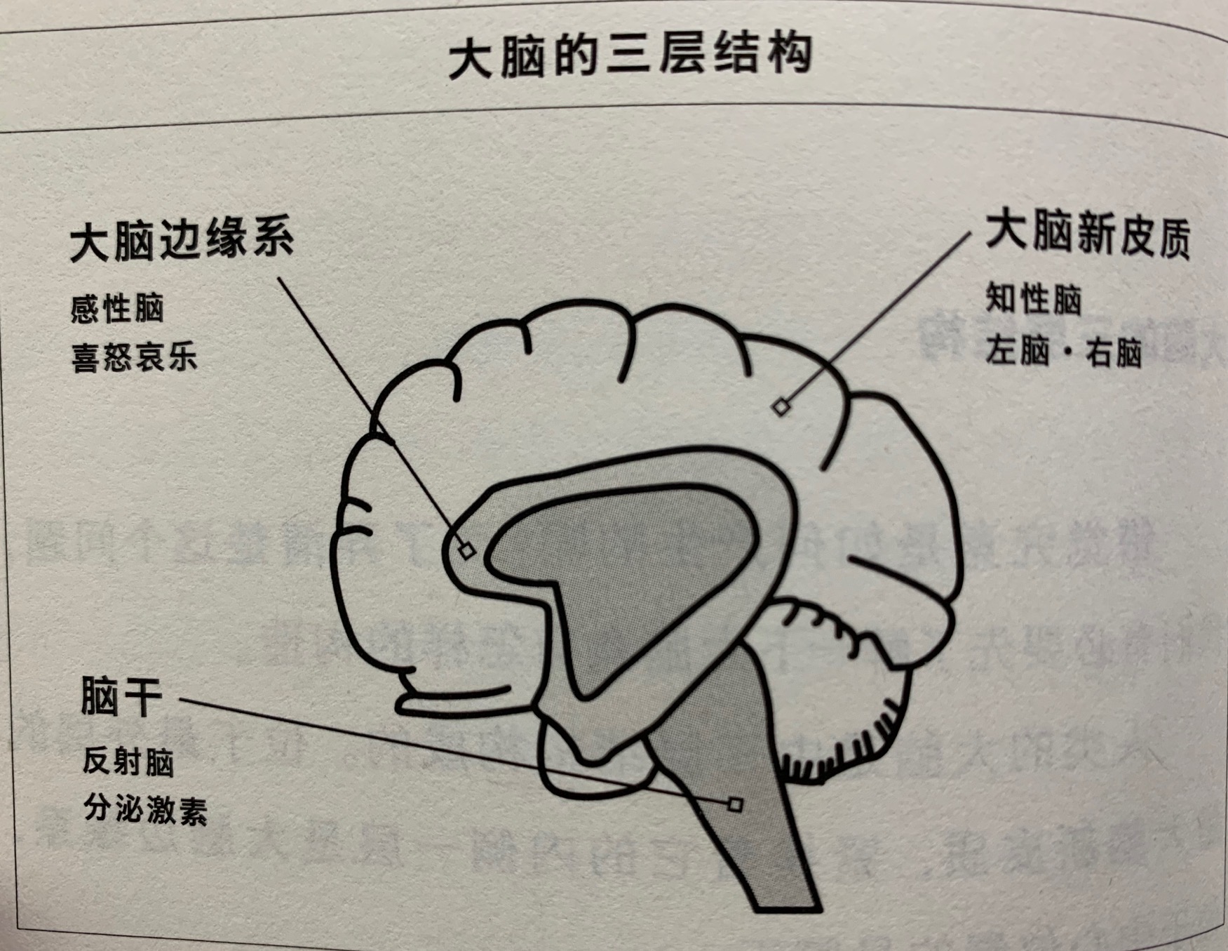 知道错觉就可以避免错觉的产生,知道了错觉就可以避免错觉的产生