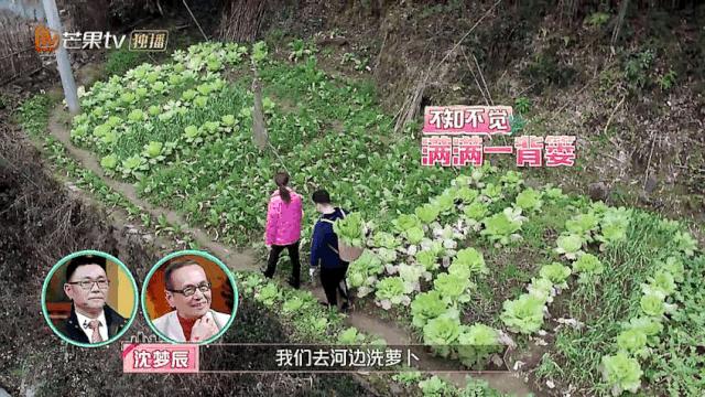 过年回家前vs回家后,过年回家前vs回家后的你