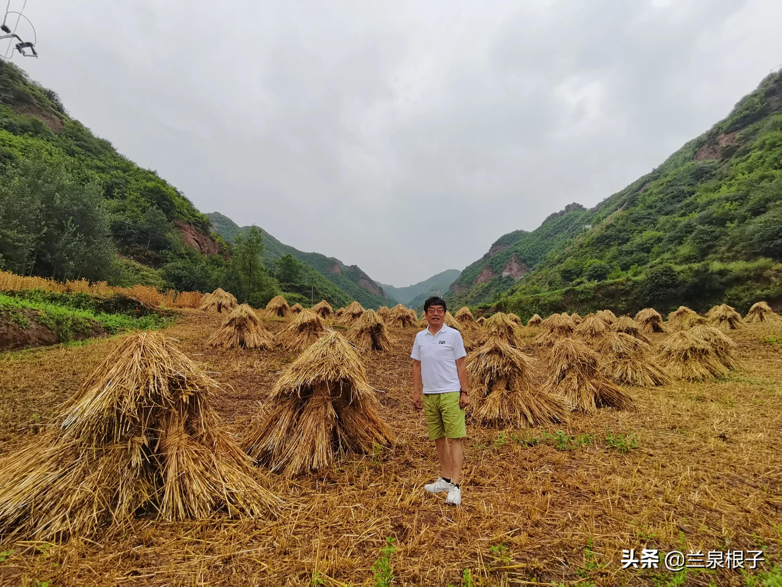 知青那些事儿全集,知青剧那些年那些事