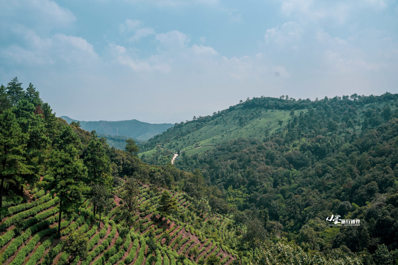 最接地气的大自然度假村,安吉旅游度假村推荐