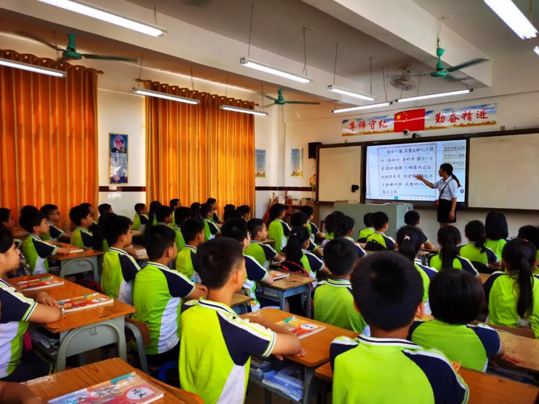 宁强县大安镇中心小学,大安镇中小学校