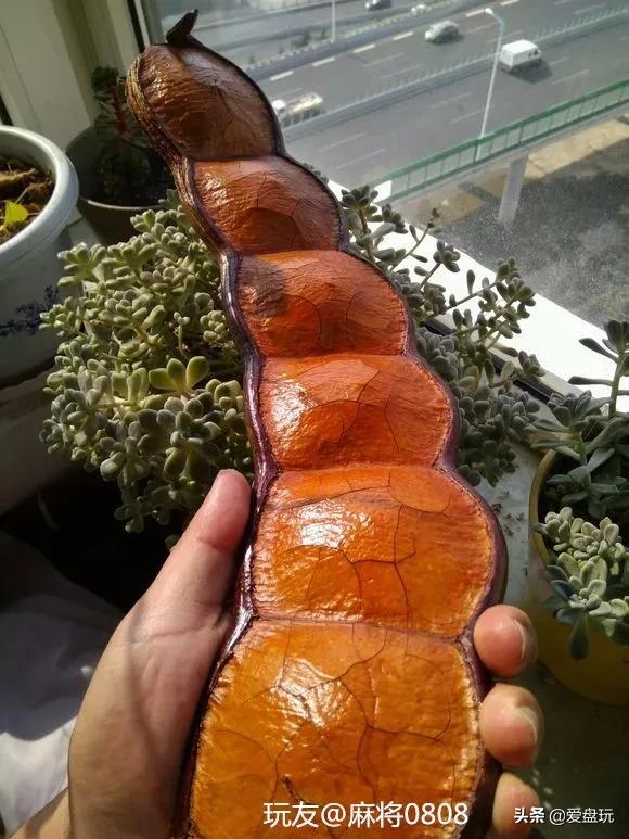 五块钱买的小玩意,5元一个的小玩意