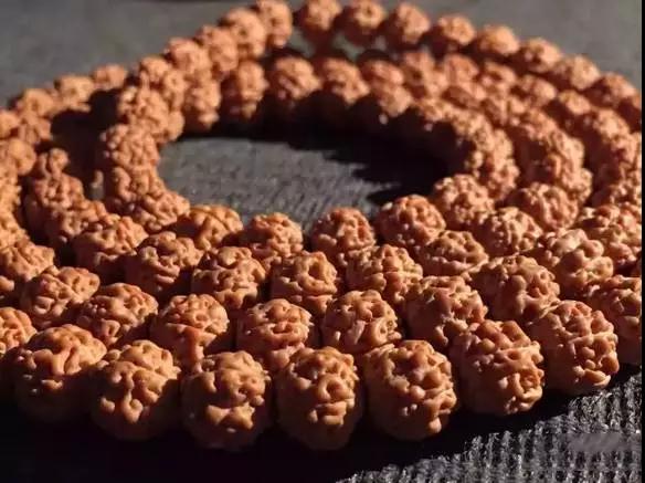 金刚盘花怎么处理,百香籽盘花了怎么办