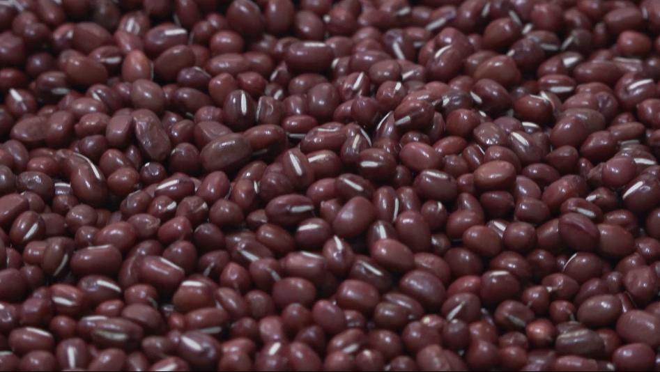 广特播报栏目,广特播报上海