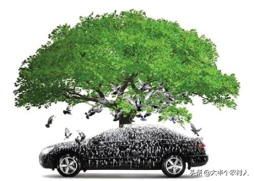 车漆除树胶小妙招,鸟粪树胶腐蚀车漆怎么办