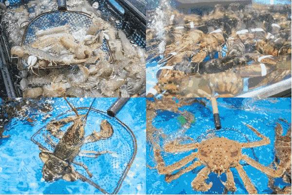 青岛人常逛超市,青岛人喜欢逛的超市