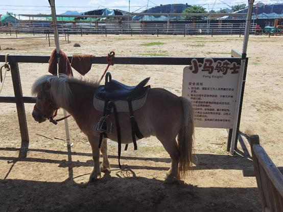 北京附近有什么亲子农场适合遛娃,北京亲子游玩农场推荐地点有哪些