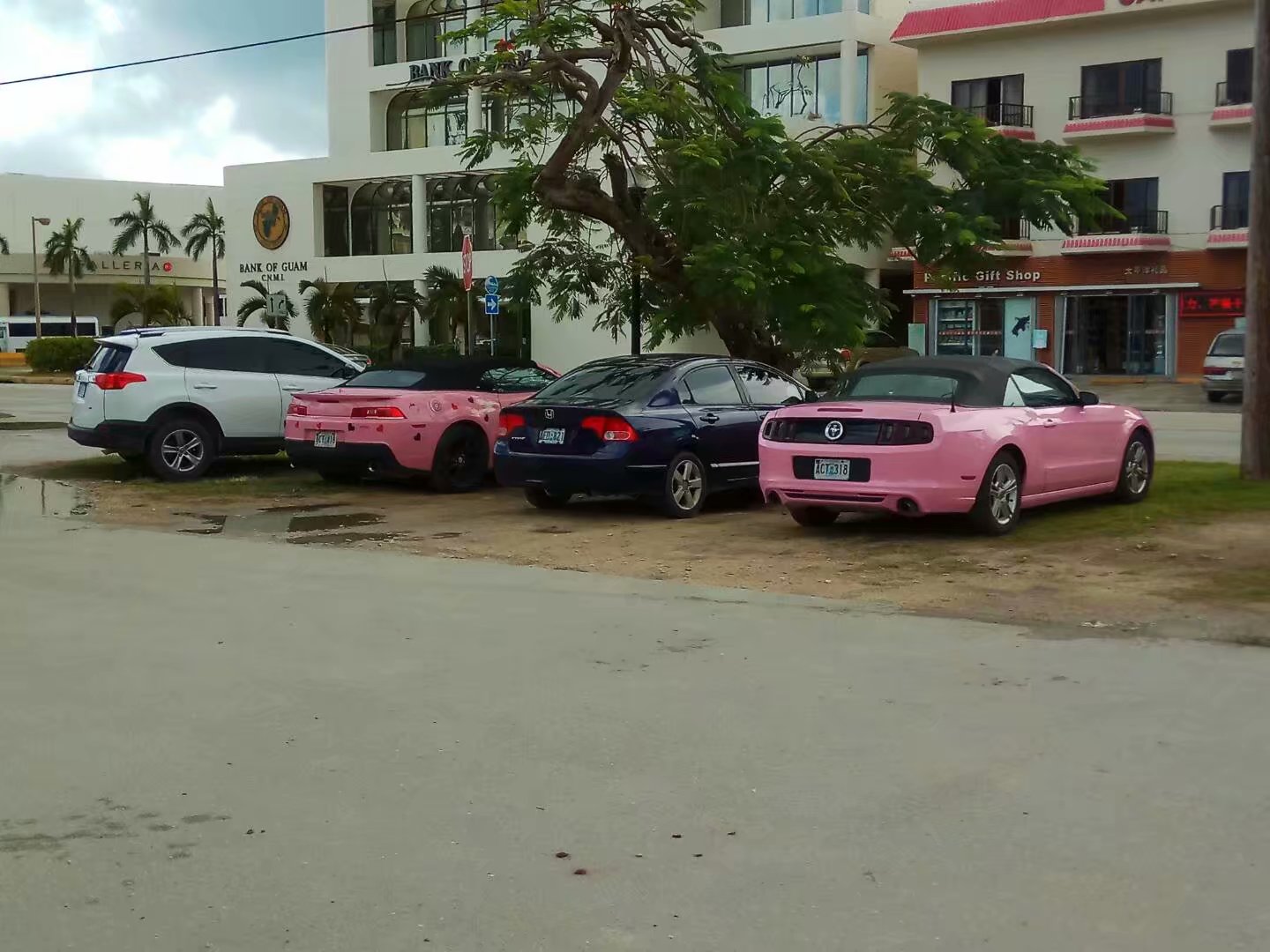 开着fj酷路泽旅行,开着房车环岛游