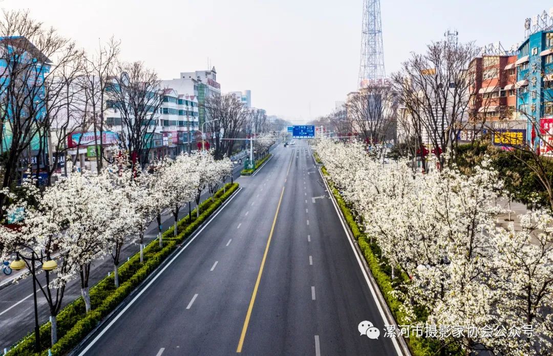 抗击新冠疫情专题展,抗击疫情专题展开展