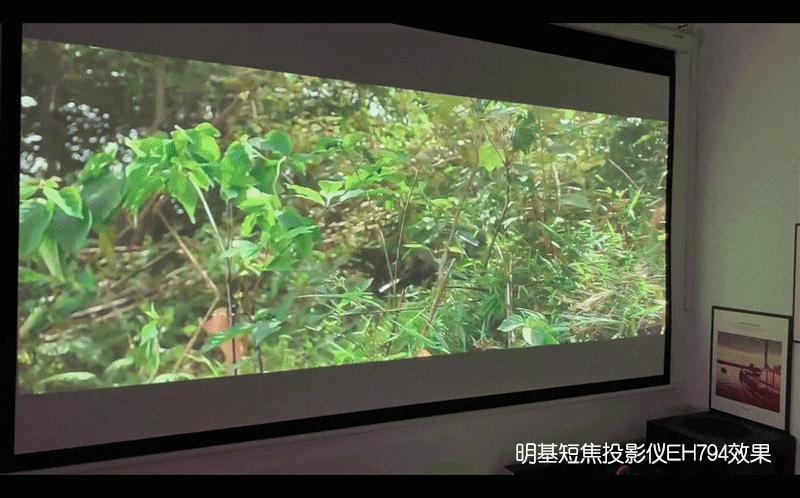 明基适合白天的投影仪选哪款,千万别买300的投影机