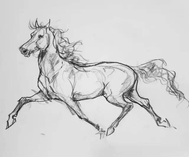 马怎么画简单图画,马怎么画更真实