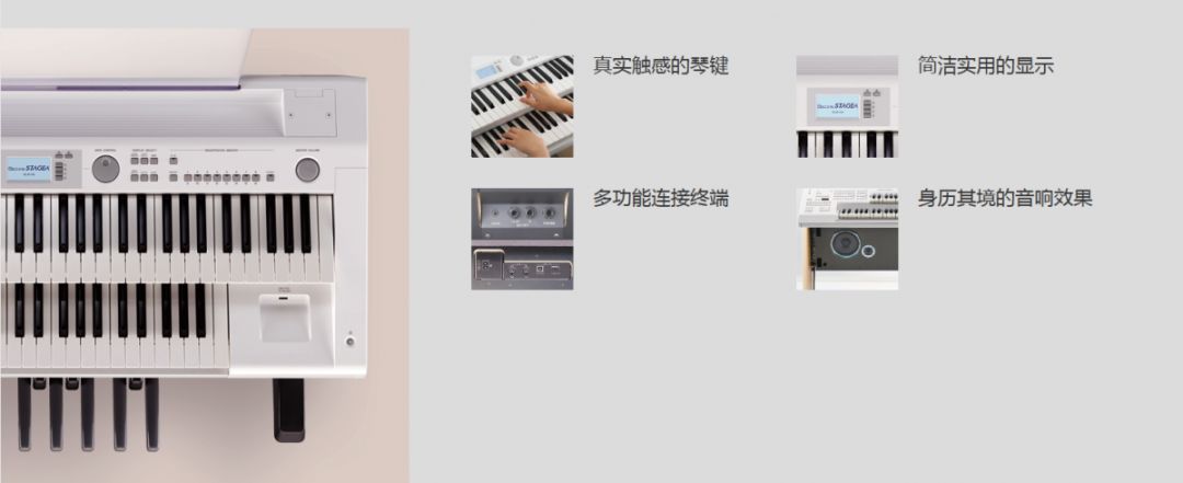 鍗氳壓鑹烘湳鍩硅涓績璐靛窞,鍗氳壓鐞磋鍚変粬鑰佸笀