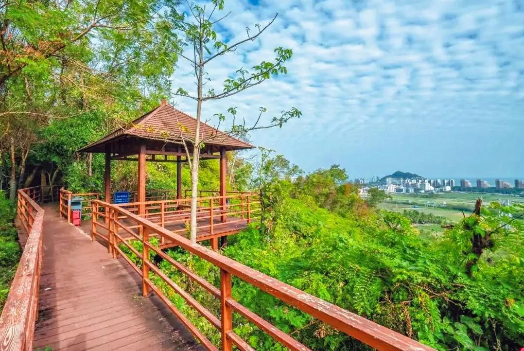 海南前十名的山岭,海南岛上有什么山脉