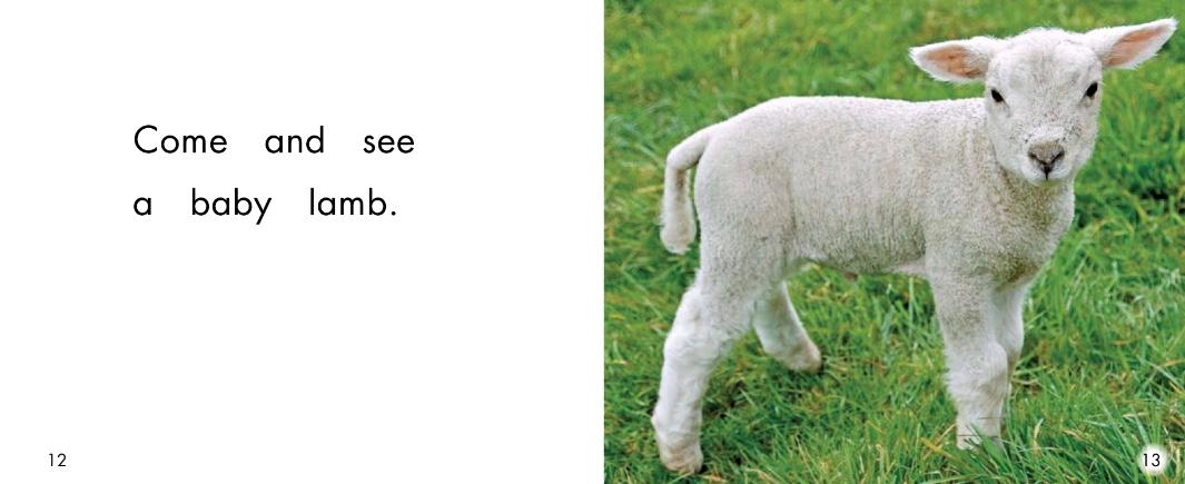 儿童绘本小动物睡前故事,动物宝宝有声绘本推荐0-3岁读绘本