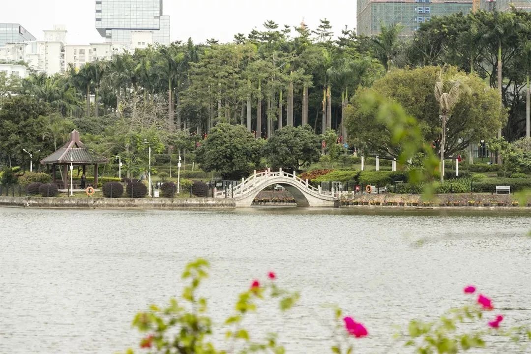 坐地铁1号线攻略,深圳1号线游玩攻略免费