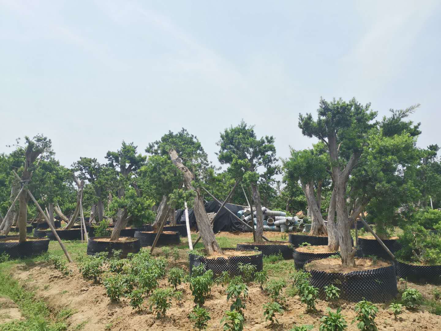 叹为观止自然风景,叹为观止高清图