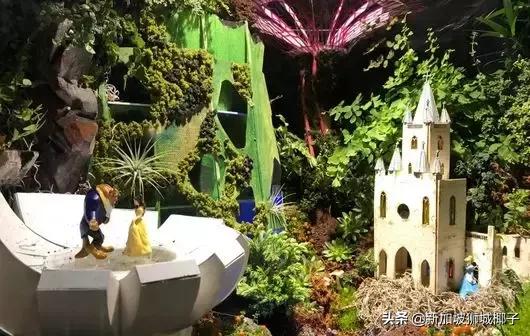 新加坡旅游攻略推荐花园,新加坡花园最新消息