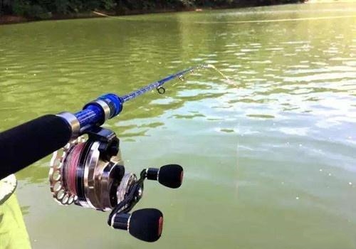 为什么那么多人热衷于钓鱼,筏钓的优势与缺点