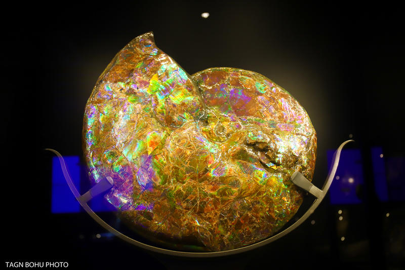 衢州飞越丛林探险乐园,浙江衢州深山