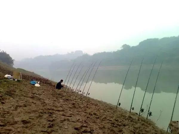 为什么众人对钓鱼有另类的看法,很多人对海竿钓法不屑一顾