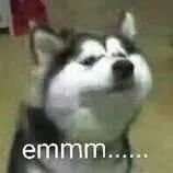 澳男子半夜全裸溜进洗车房洗自己？老板傻了：那玩意洗人会出事啊