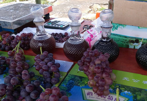 2019年让农民闲不下来的6个创业!