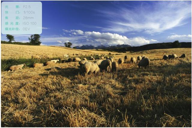 摄影基础中对景深的理解,摄影景深详解教程