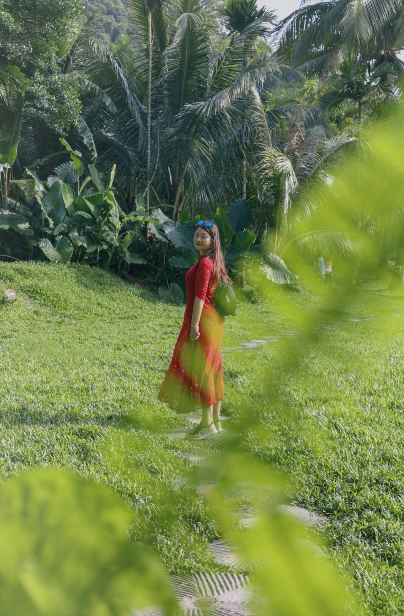 呀诺达雨林探险是什么,三亚呀诺达雨林正规吗