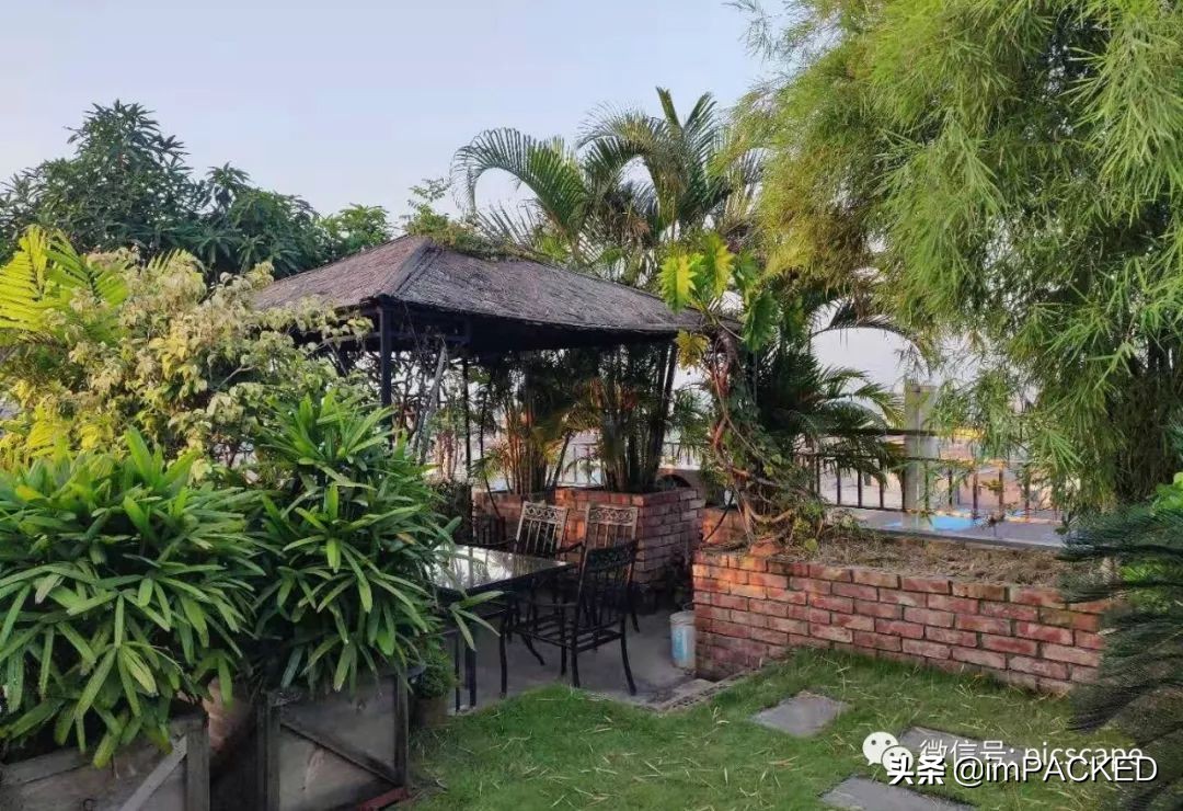 孟加拉国贫困与饥饿如何解决,孟加拉国艰难的生存之路