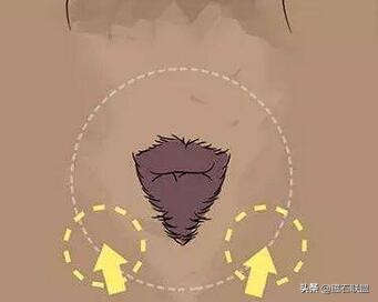 狗狗总是用屁股蹭地板，你以为是它在卖萌装傻，事实真是这样吗？