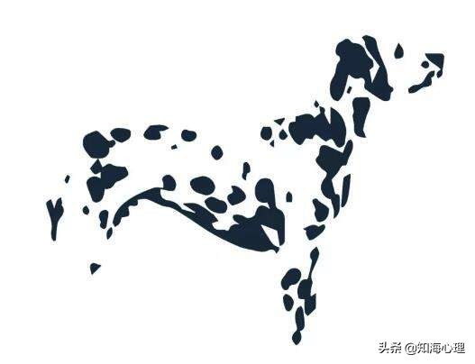 心理咨询如何选择,心理咨询师怎么选择流派