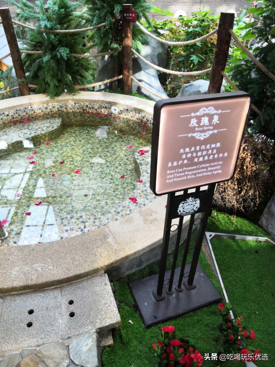 天津仁爱团泊湖温泉夏天,天津热带雨林主题温泉