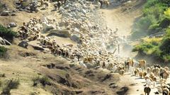 青海刚察在海北吗,青海刚察有无人区吗