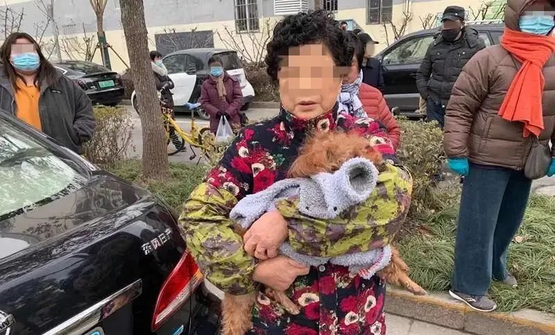 小狗被车碾压怎么赔偿,宠物狗被汽车撞了该如何赔偿