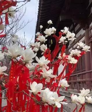 西安市青龙寺赏樱,西安赏樱花攻略
