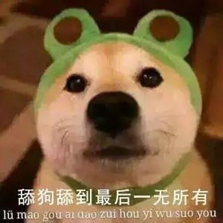 舔狗舔到最后一无所有图片,舔狗舔到最后是一无所有真的吗